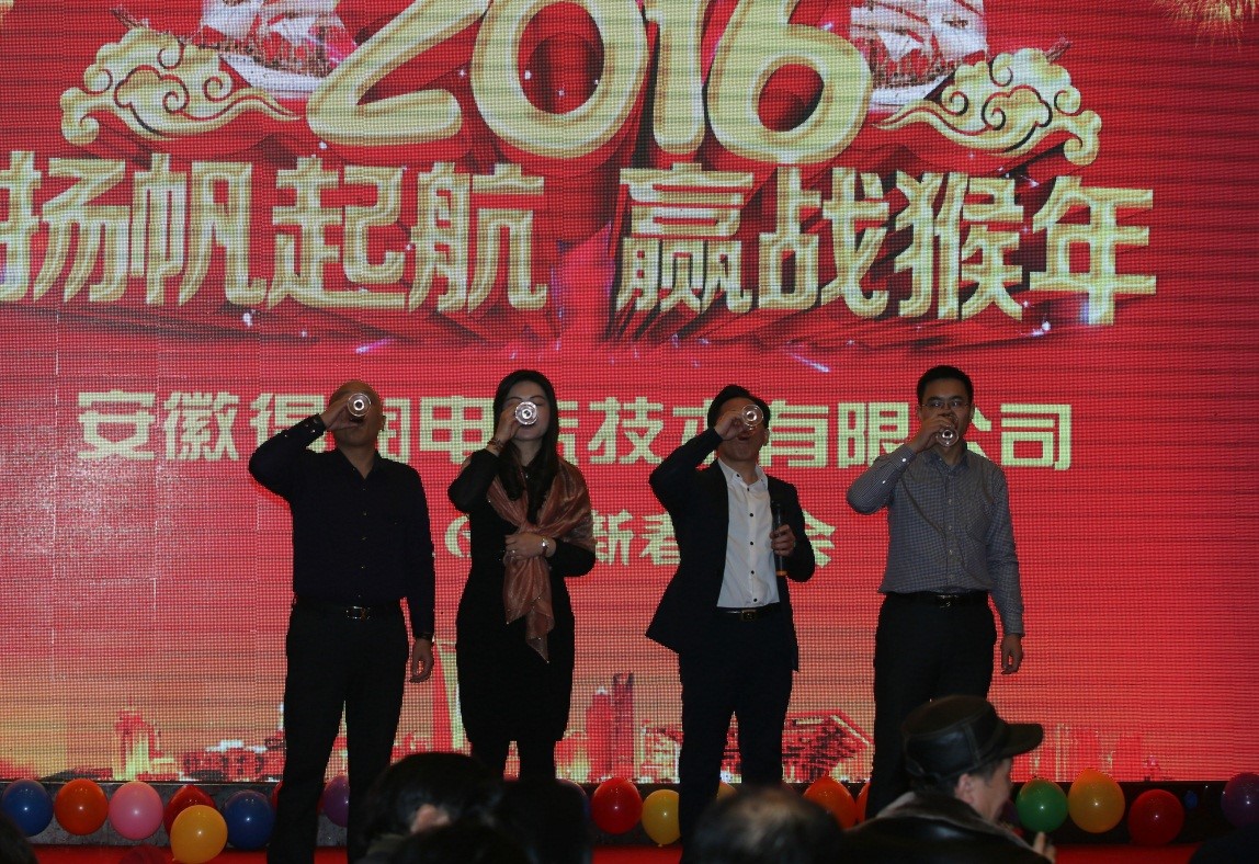 安徽得潤電氣2016迎新晚會(huì)（www.dyhaoshuo.cn）全國統(tǒng)一客服熱線：400-0551-777
